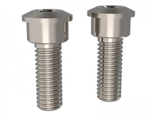 3RACING SAK-Z124 TITANIUM SERVO EXCLUSIVE BOLT FOR 1/10 ZERO CERO TOURING CAR - SAK-Z124