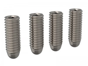 3RACING SAK-Z109 TITANIUM M3 X 7 ROUND HEAD DOWN STOP SET SCREWS  FOR 1/10 ZERO CERO  TOURING CAR - SAK-Z109