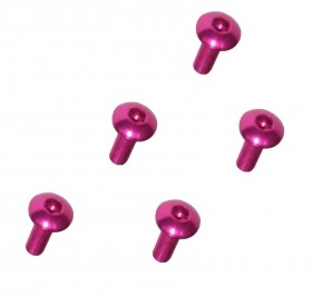 M2 x 6 Scoket Button Screw TAMIYA MINI 4WD - Pink - M4WD-19/PK