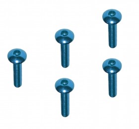 M2 x 10 Scoket Buttom Screw TAMIYA MINI 4WD - M4WD-21/LB